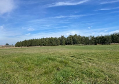 działka na sprzedaż - Piotrków Trybunalski